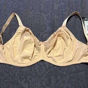 Fantasie Lingerie Underwire Bra NWT B6